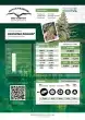 Amsterdam Amnesia Feminized Cannabis Seeds by Dutch Passion Seeds