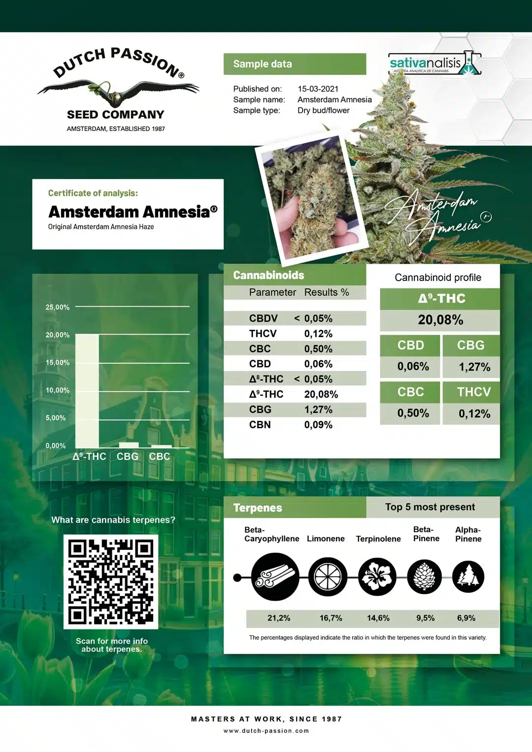 Amsterdam Amnesia independent lab-test analysis Amsterdam Amnesia independent lab-test analysis