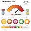 Auto Blackberry Kush Cannabis Seeds by Dutch Passion Seeds