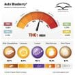 auto-blueberry-4