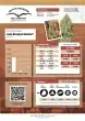 Auto Brooklyn Sunrise Cannabis Seeds by Dutch Passion Seeds