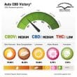 Auto CBD Victory Cannabis Seeds by Dutch Passion Seeds