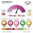 auto-cbg-force-2