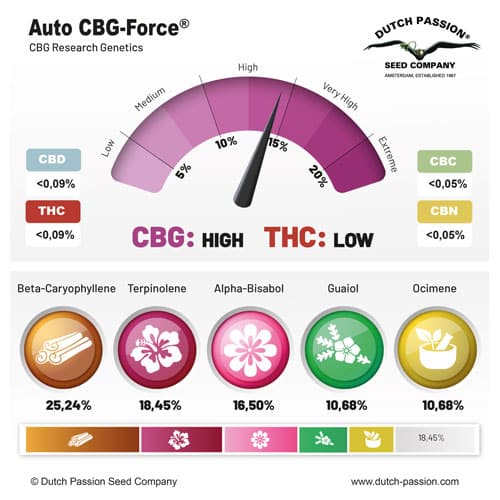 Auto CBG Force terpene and cannabinoid profile Auto CBG Force terpene and cannabinoid profile