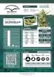 Auto Cinderella Jack Cannabis Seeds by Dutch Passion Seeds