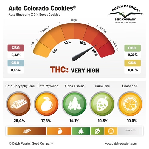 Auto Colorado Cookies terpene and cannabinoid profile Auto Colorado Cookies terpene and cannabinoid profile