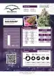 Auto Euforia Cannabis Seeds by Dutch Passion Seeds