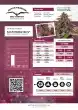 auto-forbidden-cherry-4