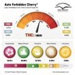 auto-forbidden-cherry-4
