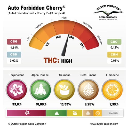 Auto Forbidden Cherry terpene and cannabinoid profile Auto Forbidden Cherry terpene and cannabinoid profile