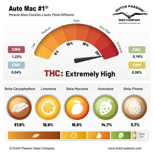 Auto MAC #1 terpene and cannabinoid profile Auto MAC #1 terpene and cannabinoid profile