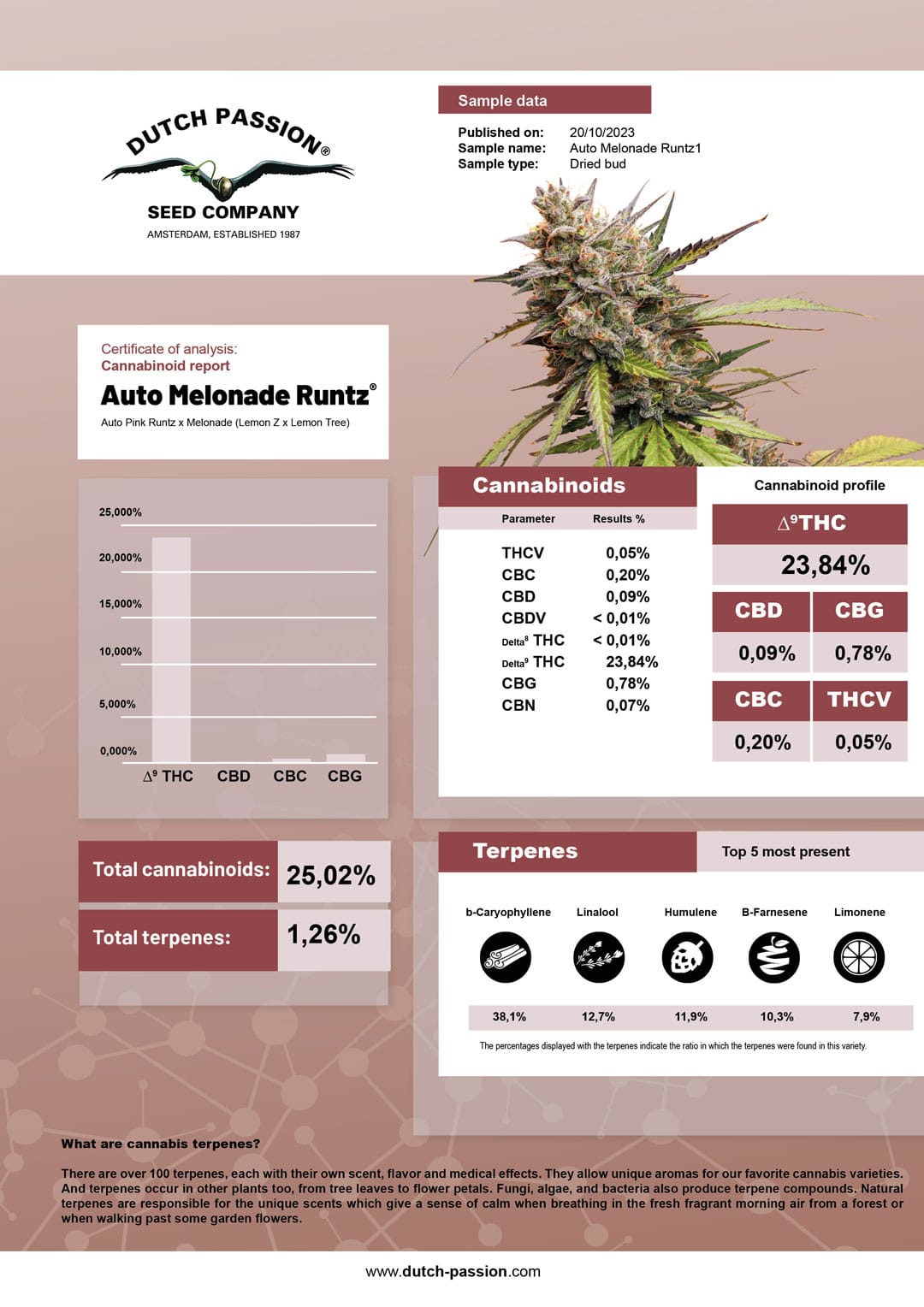 Melonade Runtz terpene and cannabinoid profile Melonade Runtz terpene and cannabinoid profile