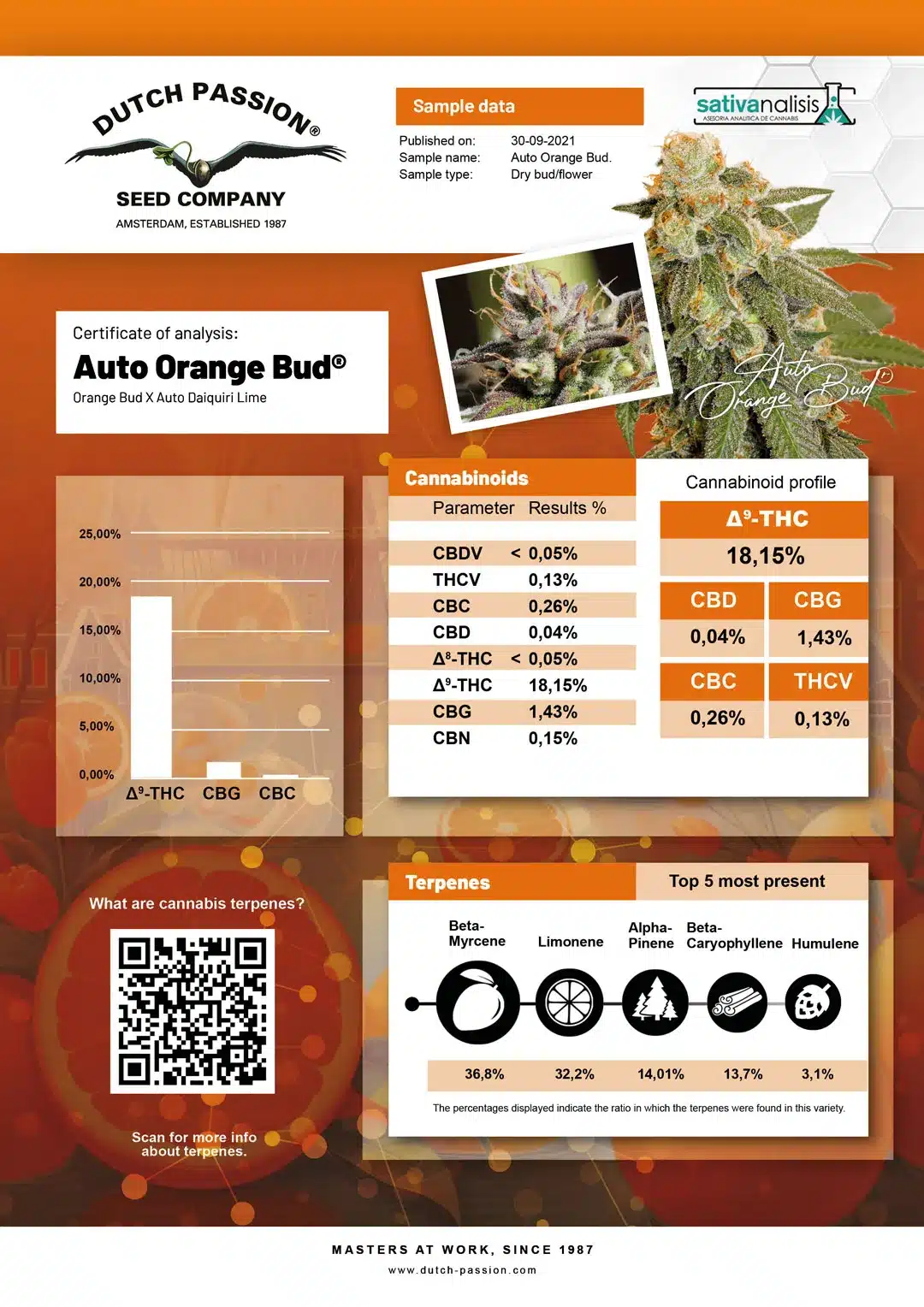 Auto Orange Bud independent lab-test analysis Auto Orange Bud independent lab-test analysis