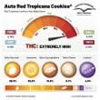 DP Auto Red Tropicana Cookies Cannabis Seeds by Dutch Passion Seeds