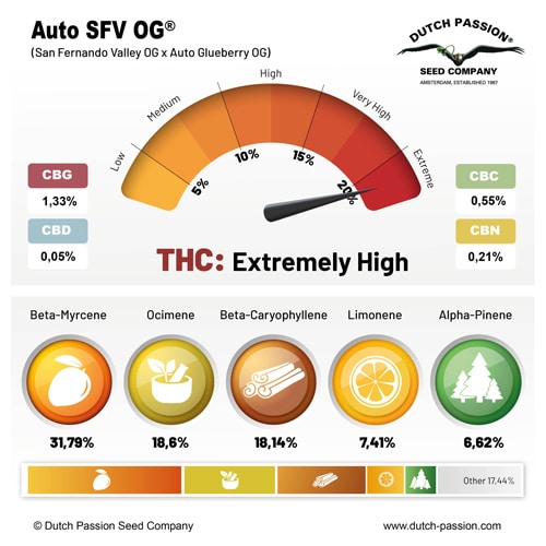 Auto SFV OG terpene and cannabinoid profile Auto SFV OG terpene and cannabinoid profile