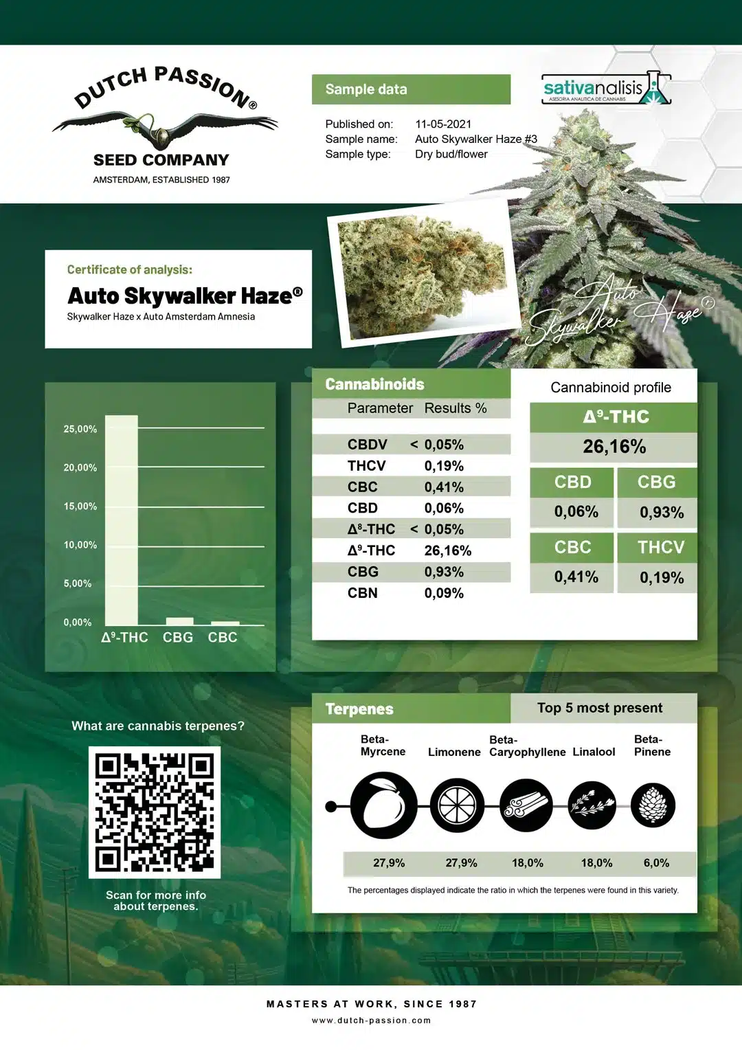 Auto Skywalker Haze independent lab-test analysis Auto Skywalker Haze independent lab-test analysis
