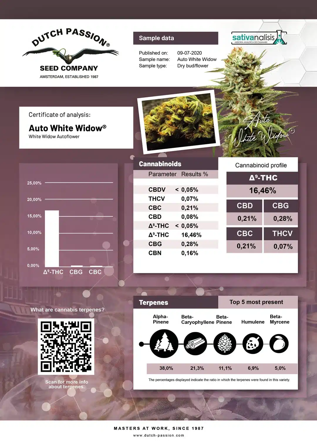Auto White Widow independent lab-test analysis Auto White Widow independent lab-test analysis