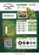 Auto Xtreme Cannabis Seeds by Dutch Passion Seeds