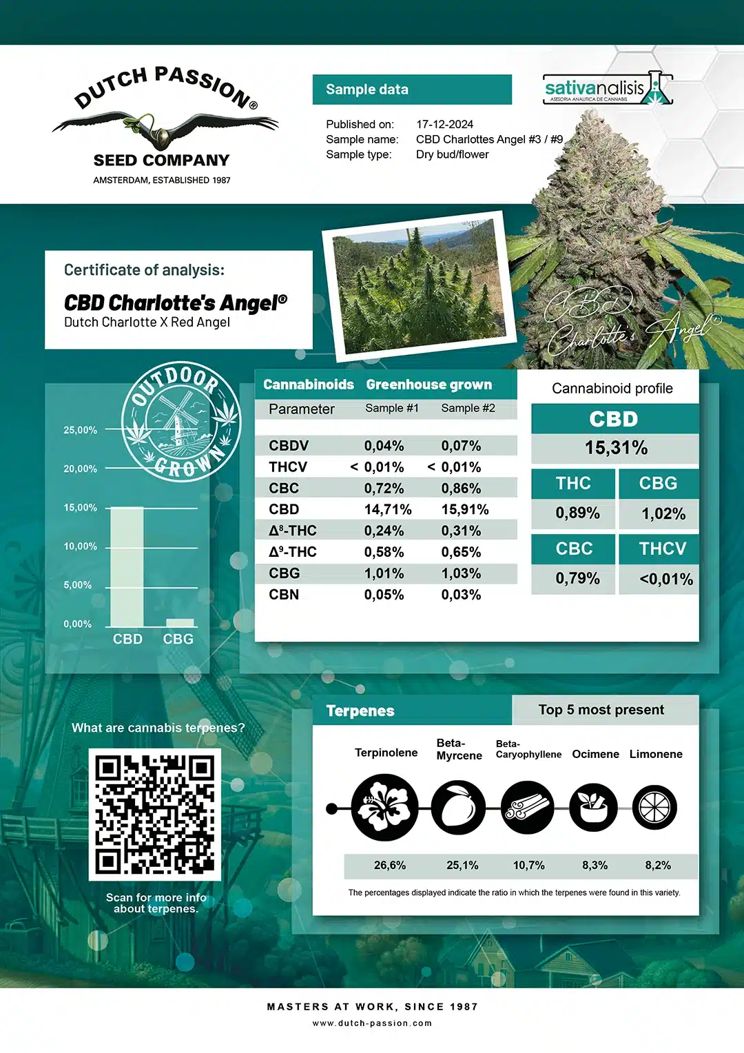 CBD Charlotte's Angel independent lab-test analysis CBD Charlotte's Angel independent lab-test analysis