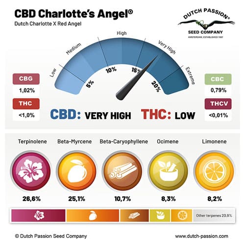 CBD Charlotte's Angel independent lab-test analysis CBD Charlotte's Angel independent lab-test analysis