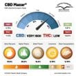 CBD Mazar Cannabis Seeds by Dutch Passion Seeds
