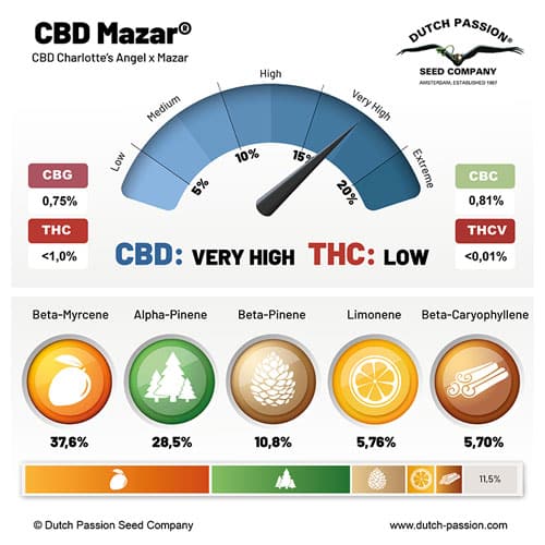 CBD Mazar independent lab-test analysis CBD Mazar independent lab-test analysis