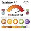 DP Candy Bubatz XL Feminized Cannabis Seeds by Dutch Passion Seeds