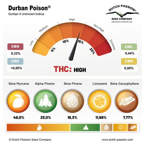 Durban Poison terpene and cannabinoid profile Durban Poison terpene and cannabinoid profile