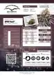DP GMO Fast Feminized Cannabis Seeds by Dutch Passion Seeds