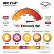 DP GMO Fast Feminized Cannabis Seeds by Dutch Passion Seeds