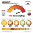 DP Lemon Z Feminized Cannabis Seeds by Dutch Passion Seeds