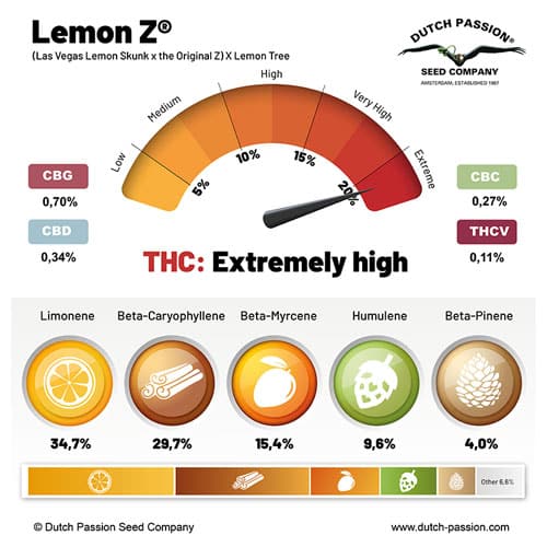 Lemon-Z-cannabinoids-and-terpenes