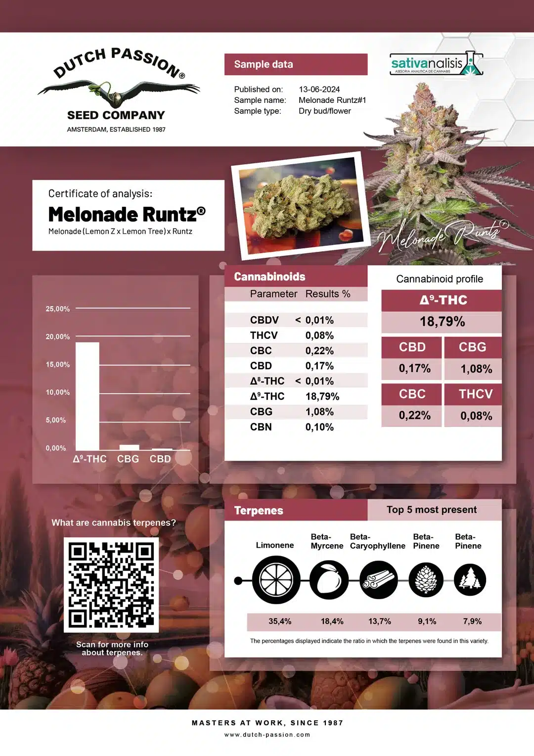 Melonade-Runtz-independent-lab-test-analysis-results