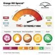 Orange Hill Special Feminized Cannabis Seeds by Dutch Passion Seeds