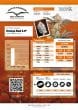 DP Orange Bud 20 Feminized Cannabis Seeds by Dutch Passion Seeds