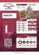 passion-fruit-4