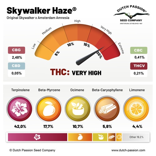 Skywalker Haze terpene and cannabinoid profile Skywalker Haze terpene and cannabinoid profile