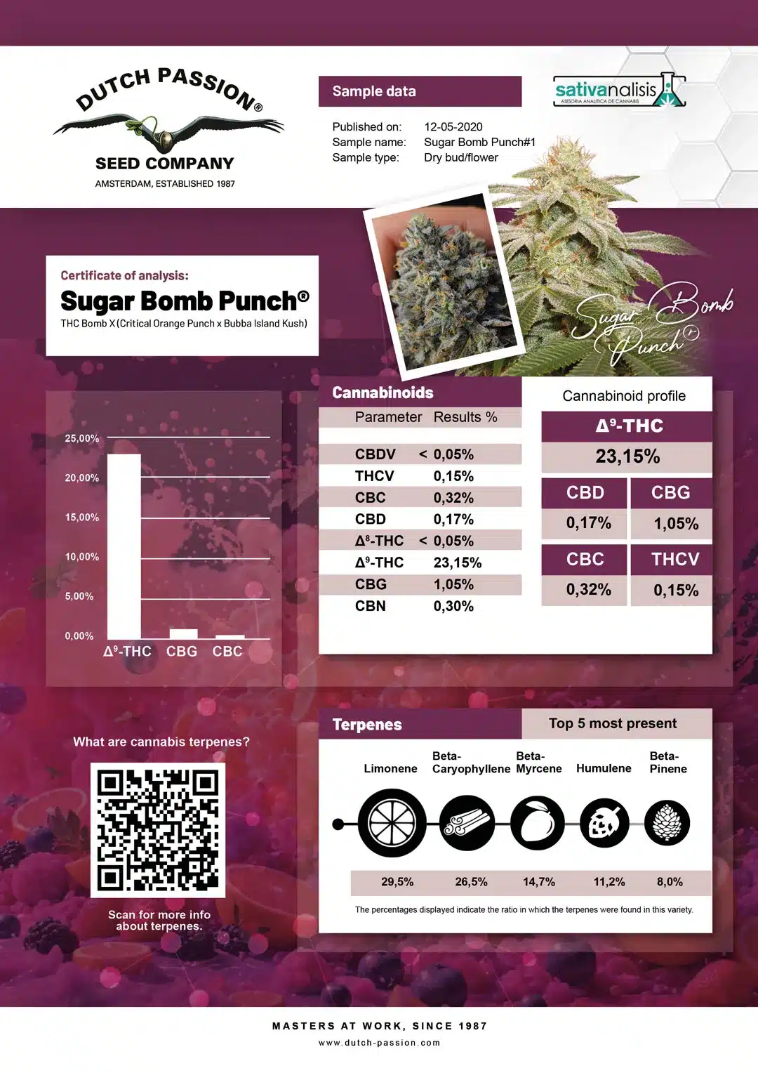 Sugar Bomb Punch independent lab-test analysis Sugar Bomb Punch independent lab-test analysis