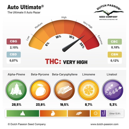Auto Ultimate terpene and cannabinoid profile Auto Ultimate terpene and cannabinoid profile