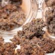 Auto Blackberry Kush Cannabis Seeds by Dutch Passion Seeds