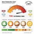 Auto Cinderella Jack Cannabis Seeds by Dutch Passion Seeds