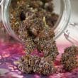 auto-forbidden-cherry-4