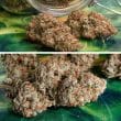 DP Melonade Runtz Auto Cannabis Seeds by Dutch Passion Seeds