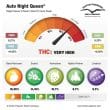 Auto Night Queen Cannabis Seeds by Dutch Passion Seeds