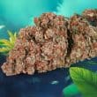 DP Auto Red Tropicana Cookies Cannabis Seeds by Dutch Passion Seeds