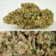 auto-sfv-og-4