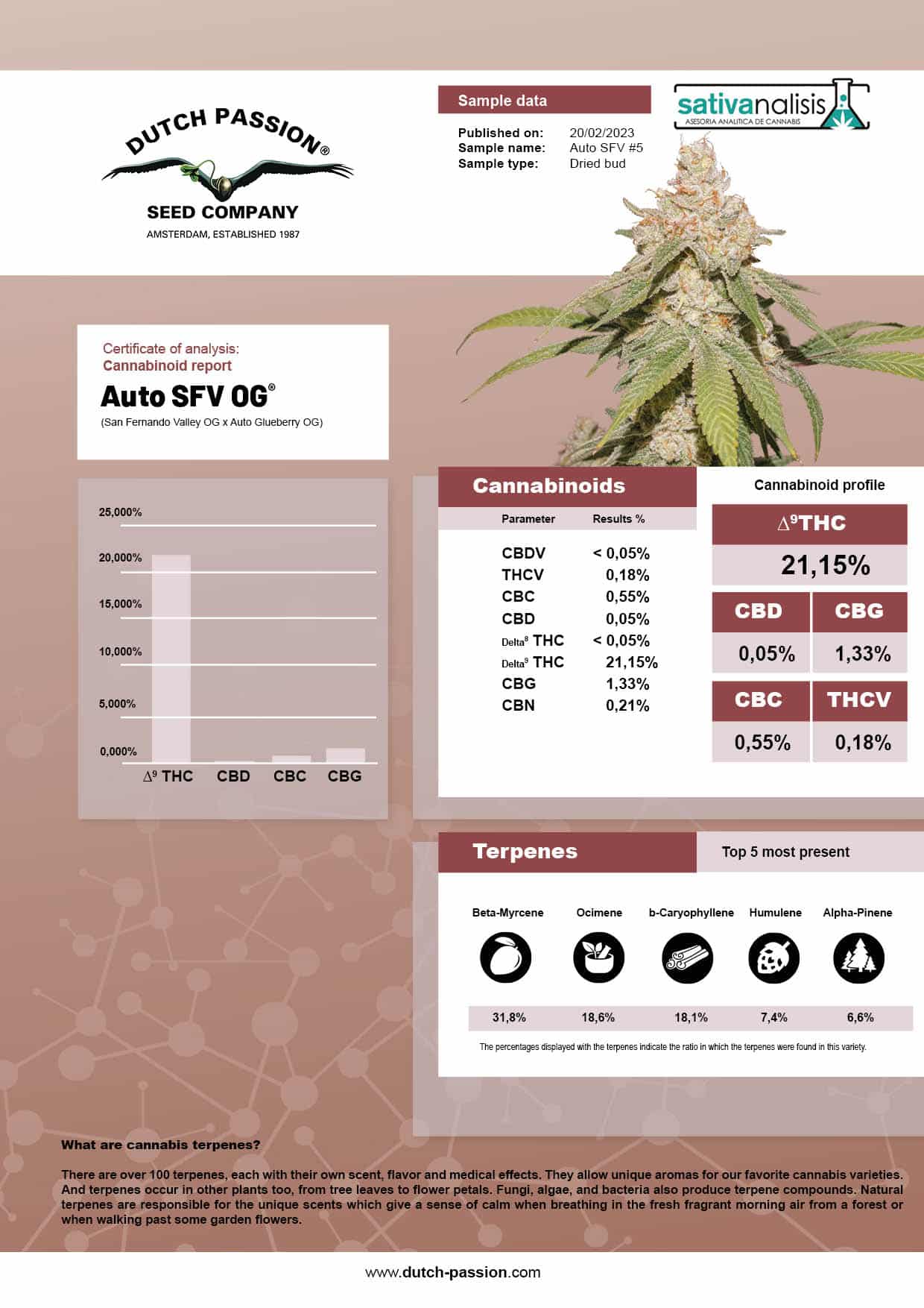 Auto SFV OG independent lab-test analysis Auto SFV OG independent lab-test analysis