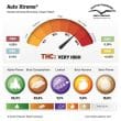 Auto Xtreme Cannabis Seeds by Dutch Passion Seeds