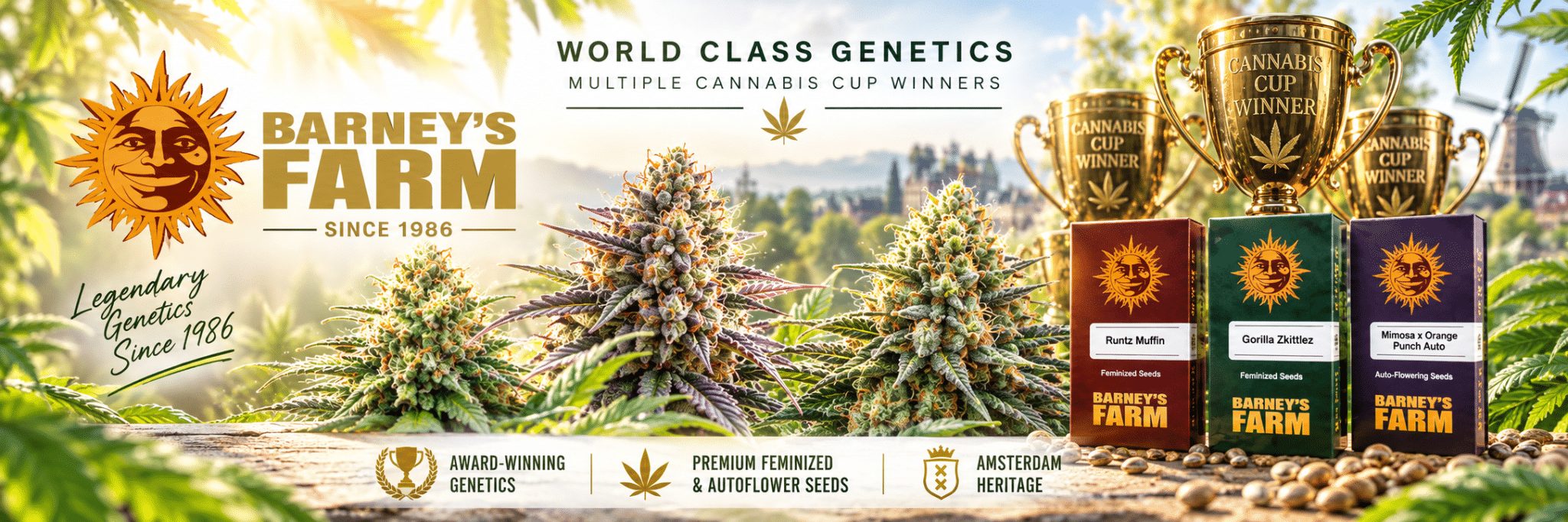 buy barneys farm cannabis seeds stealth delivery