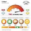 C Vibez Feminized Cannabis Seeds by Dutch Passion Seeds